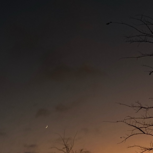 Meet your Posher, Caroline - Picture 1 of 1